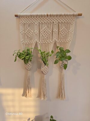 Macrame plant hanger