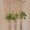 Macrame plant hanger