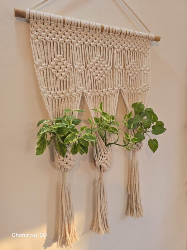 Macrame plant hanger