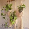 Macrame Babui nest