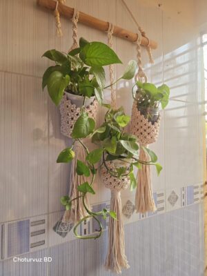 Macrame Babui nest